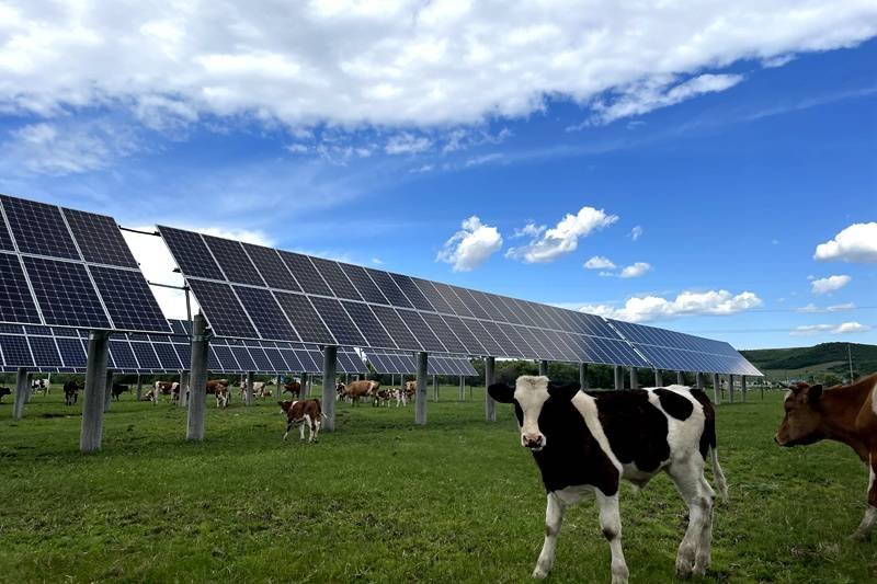 Off-Grid Solar Kit with Monocrystalline Panels-17